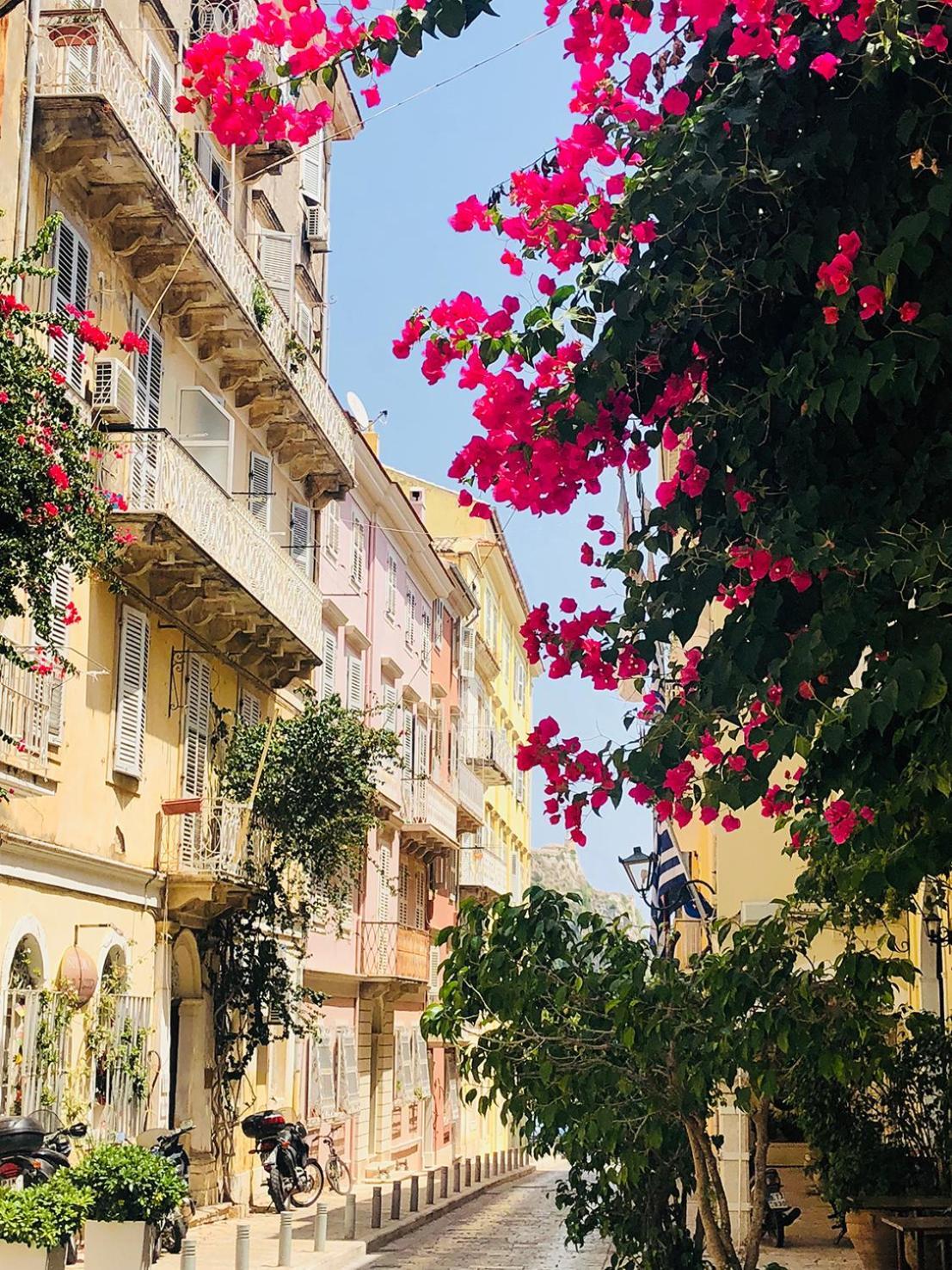 Garden Suites Corfu  Exteriér fotografie
