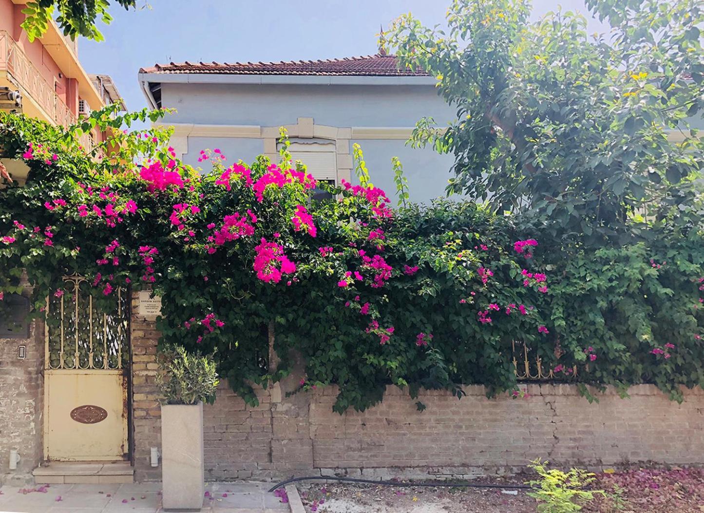 Garden Suites Corfu  Exteriér fotografie